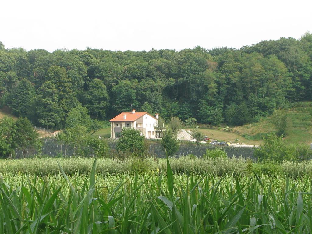 Agriturismo Casamela Падерно-дель-Граппа Экстерьер фото